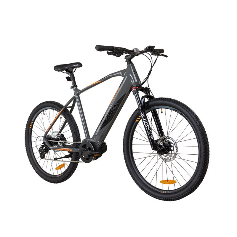 Momas Jason+ 2024 LTD