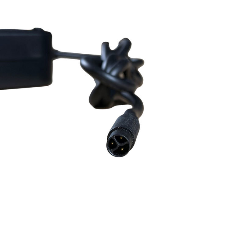 Lader (I) - 54.6V 2A