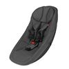 490020 Baby insert 1.jpg