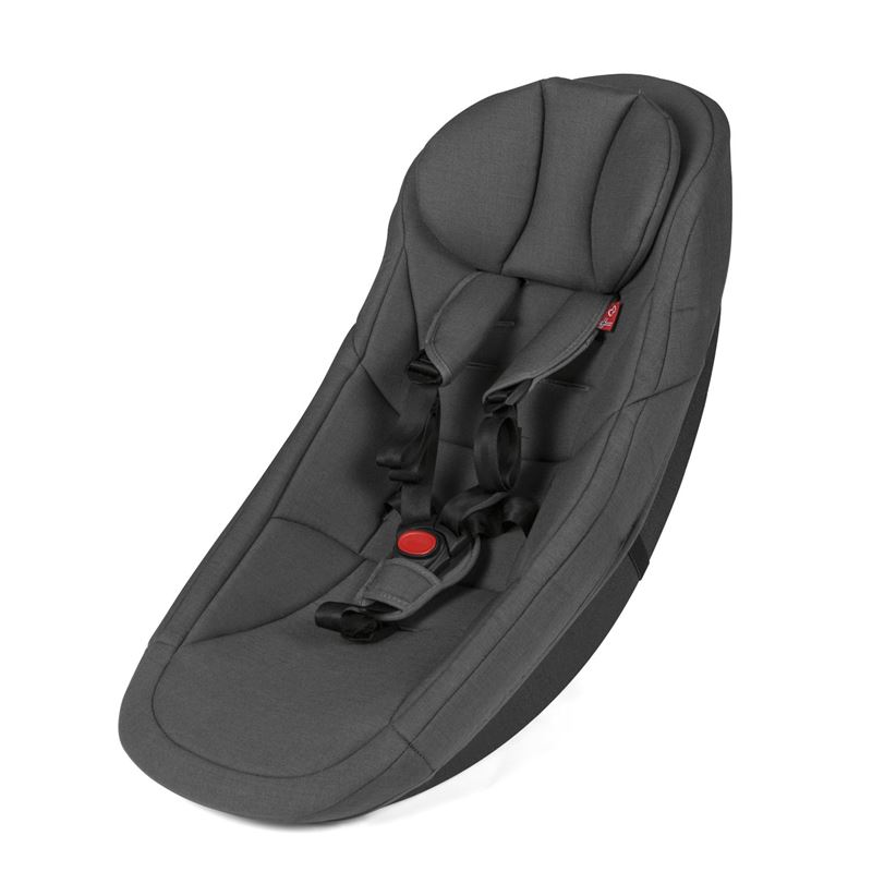 490020 Baby insert 1.jpg