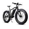 Momas F2 250W M (som ny)