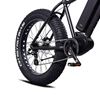 Momas F2 250W M (som ny)
