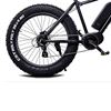 Momas F2 250W M (som ny)