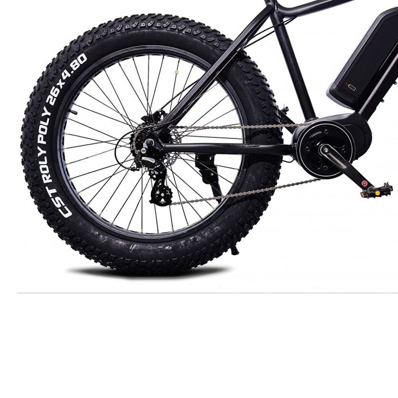 Momas F2 250W M (som ny)