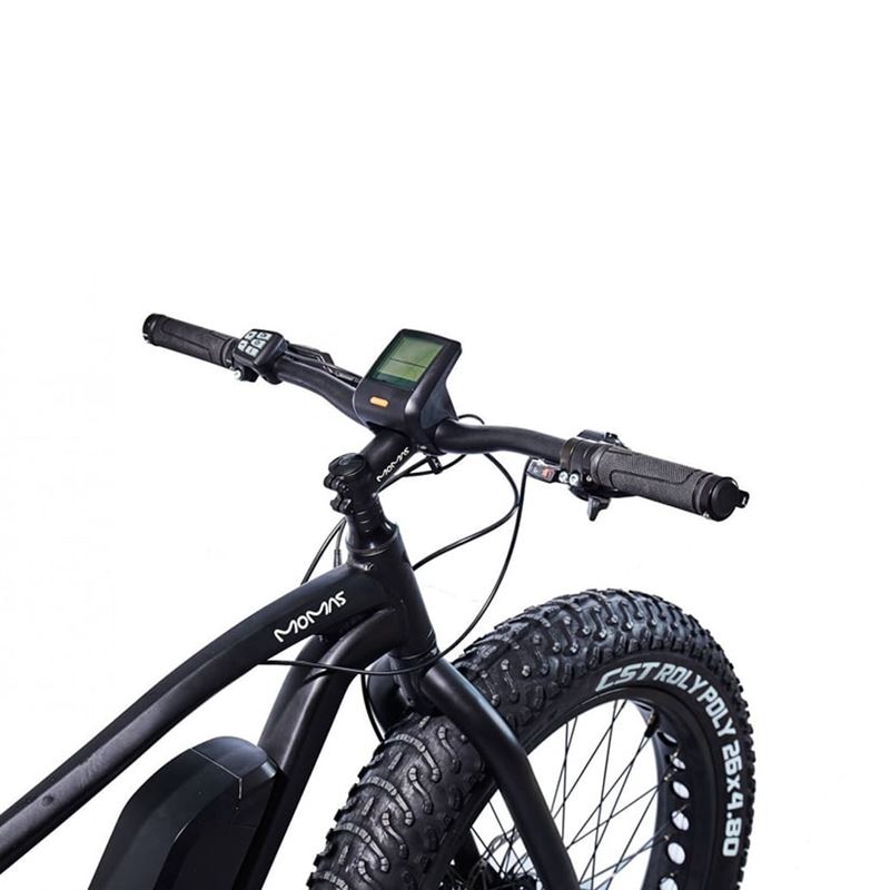 Momas F2 250W M (som ny)