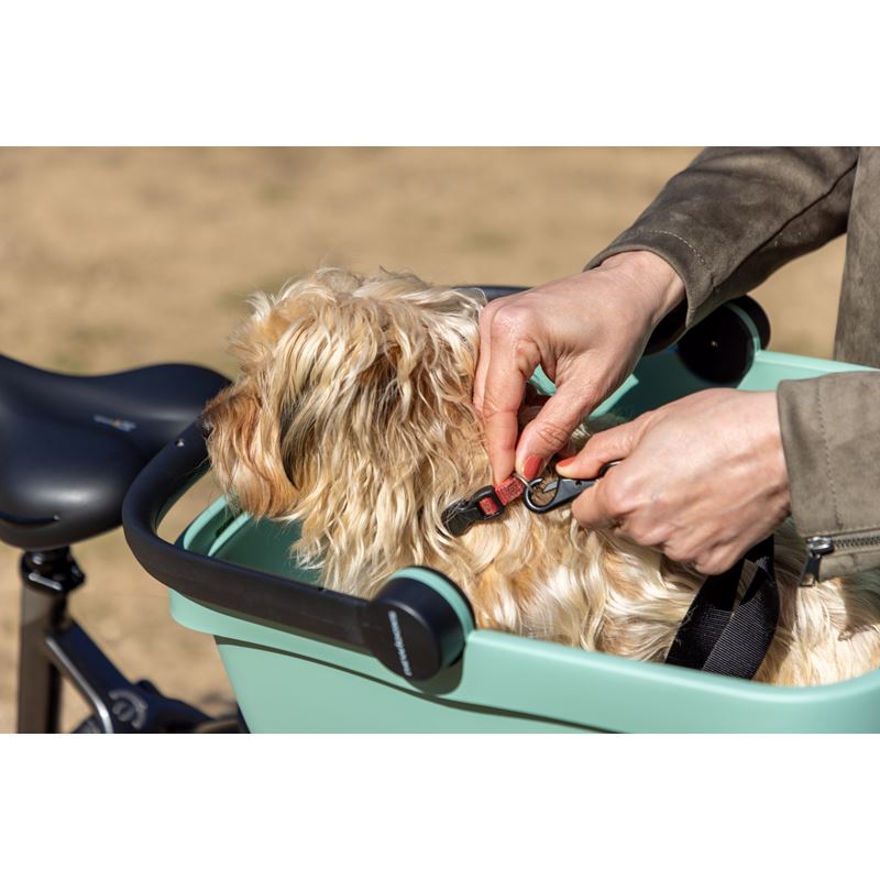 Newlooxs Clipper - Kjæledyrpakke