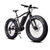 Momas F2 250W M (som ny)