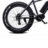 Momas F2 250W M (som ny)