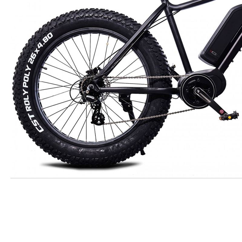 Momas F2 250W M (som ny)