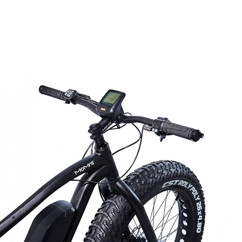 Momas F2 250W M (som ny)
