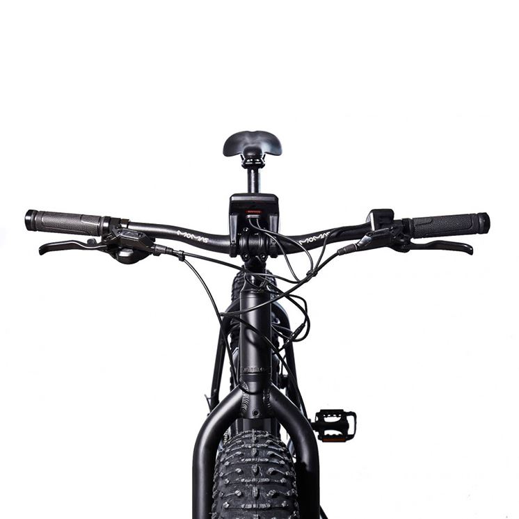 Momas F2 250W M (som ny)