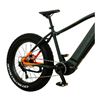 Momas Eagle M