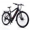 Momas Focus XL 2022