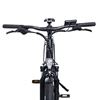 Momas Focus XL 2022